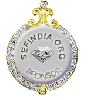 钻石赞助商徽章
