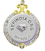 Diamond Sponsor 钻石赞助商
